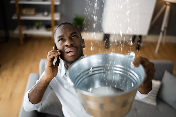 Best Water damage restoration insurance claims  in Cana, VA