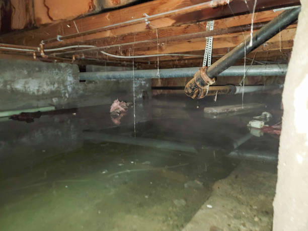 Sewage cleanup and water damage restoration in VA