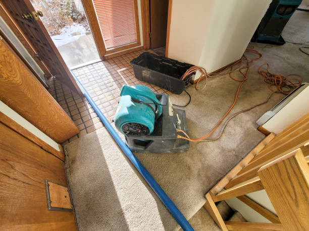 Best Water damage cleanup near me  in Cana, VA