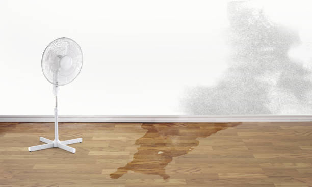 Best Carpet water damage restoration  in Cana, VA