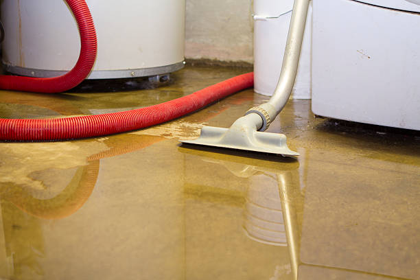Best Basement water damage restoration  in Cana, VA
